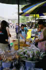 Chatuchak market